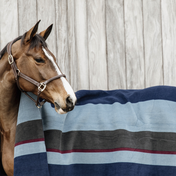 Fleece Blanket rug for horses