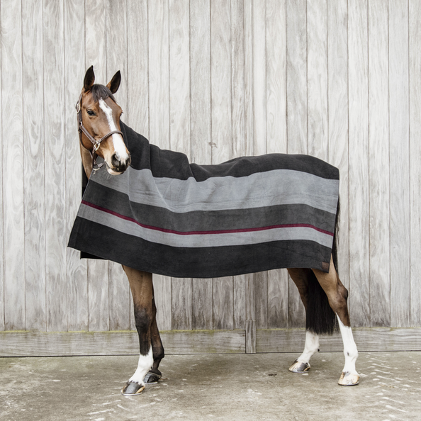 Striped horse rug Kentucky