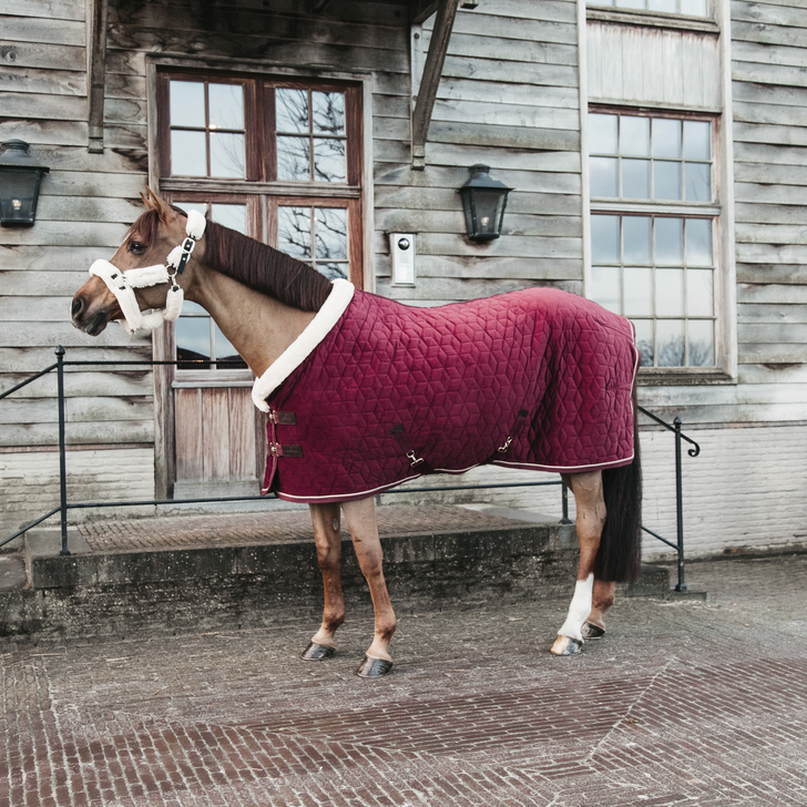 Kentcky Horsewear Velvet Rug Bordeaux