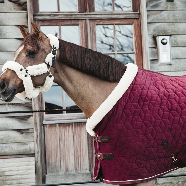 Kentucky Horsewear velvet show rug