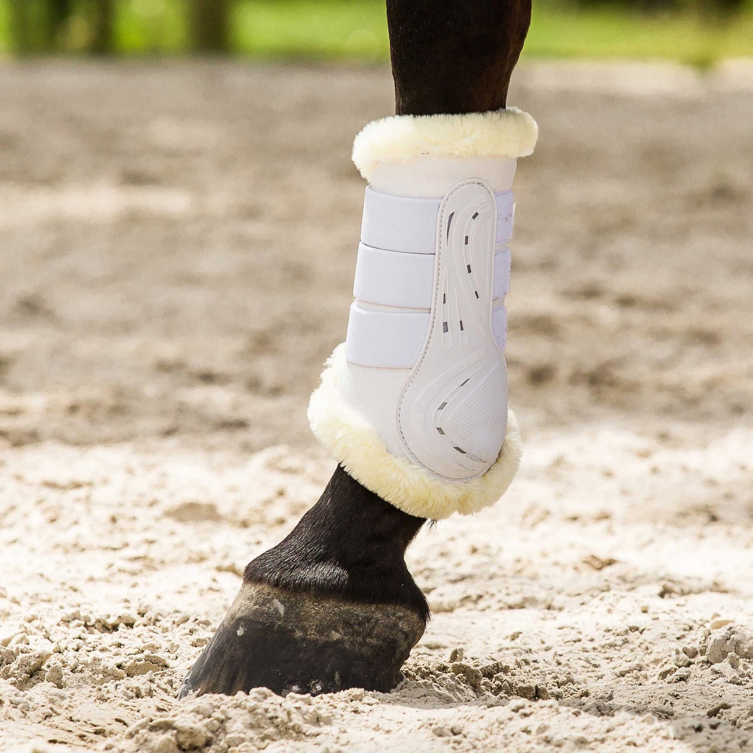 Dressage Boots lamicell