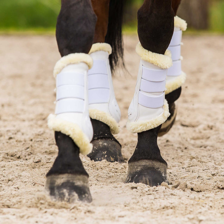 White dressage boots for horses