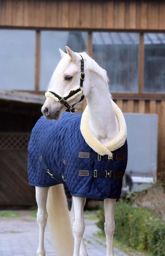 Kentucky Horsewear Navy Rug
