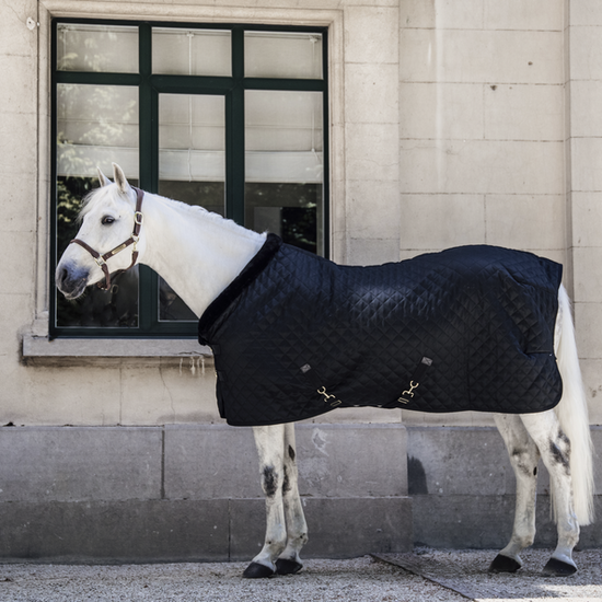 Kentucky Black Black Show Rug