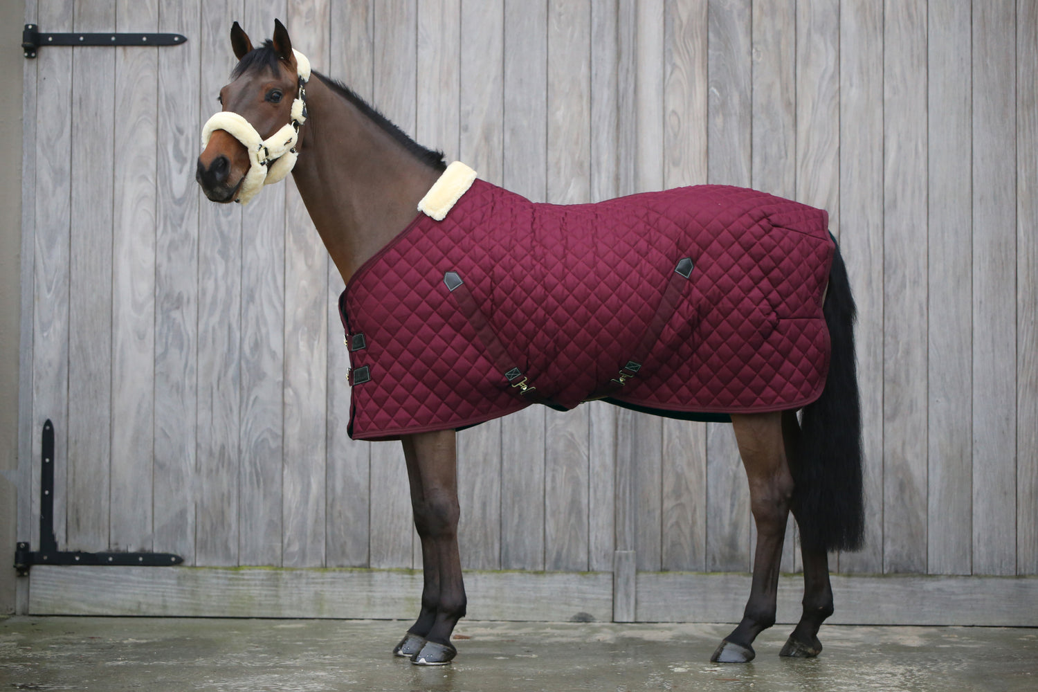 Kentucky Bordeaux Stable Rug