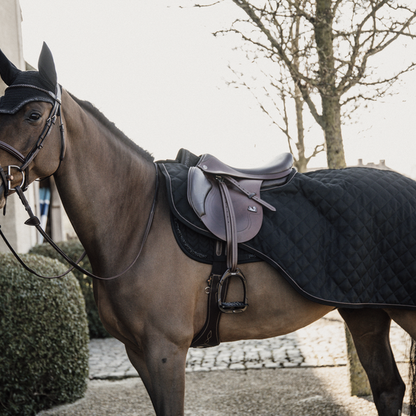 Warm winter exercise rug for horses