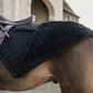 Horse riding rug for winter