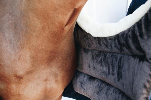 Chest protection for sensitive horses