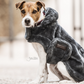 Luxury Dog Coat