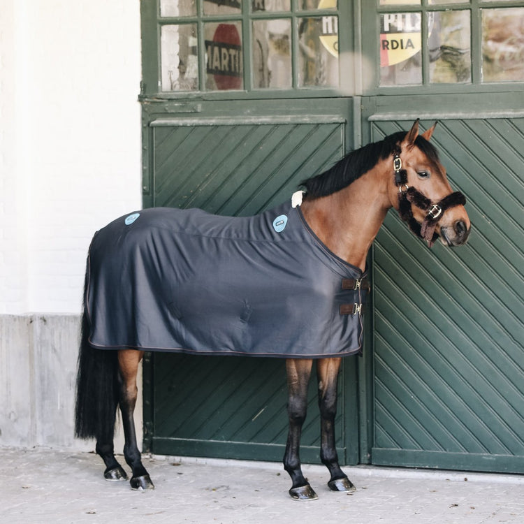 Magnetic blanket for horses
