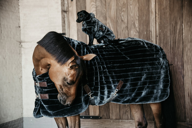 Luxury horse blankets