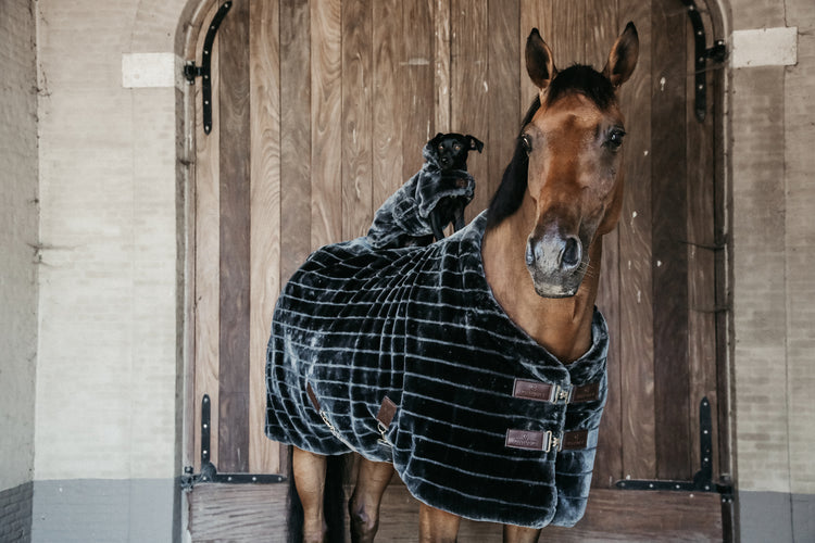 Show Rug for horses