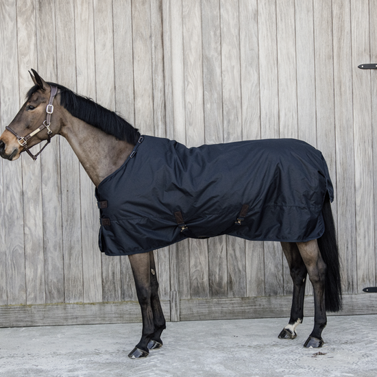 Best heavy weight turnout rug