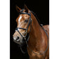 Bridle Mexican Style with Padded Grackle Noseband