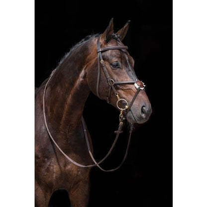 Bridle Mexican Style with Padded Grackle Noseband