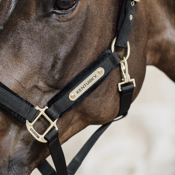 Leather and Rope Horse Halter by Kentucky Horsewear