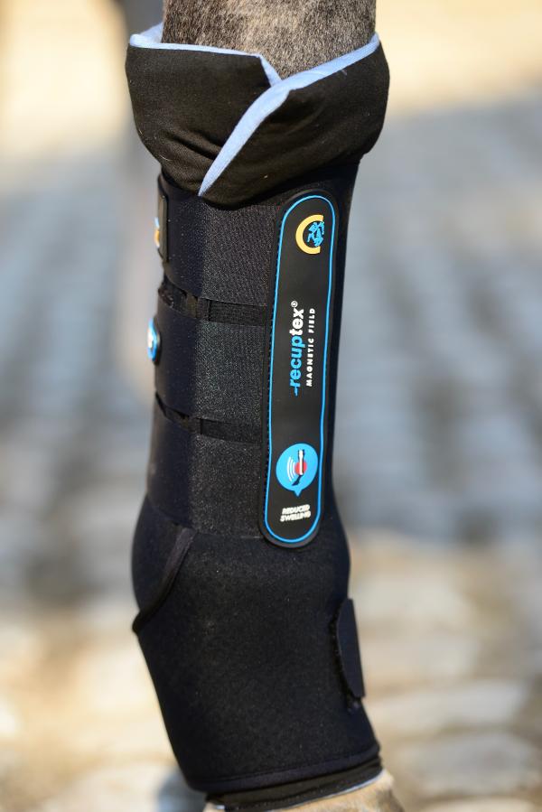 Magnetic Stable Boots for horses