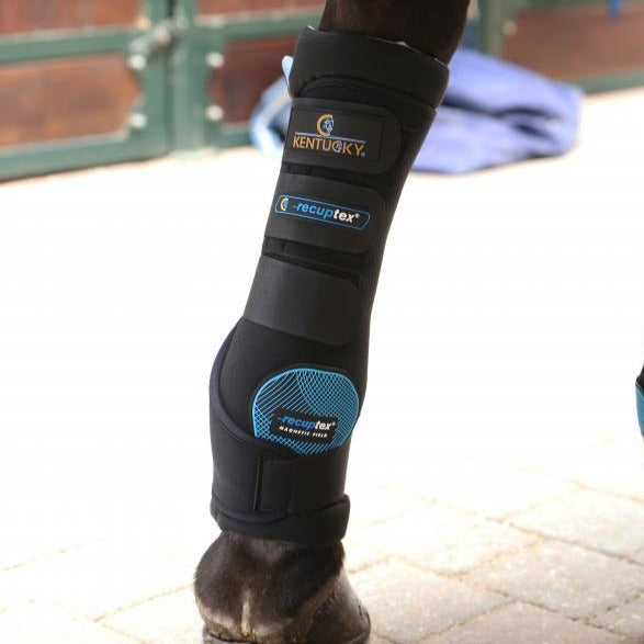 Bioflow magnetic clearance horse boots