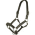 Leather Head collar for horses