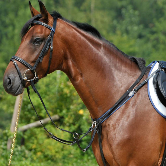 stübben breastplate elastic with running attachment 