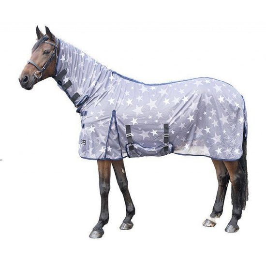 Fun fly rug for horses