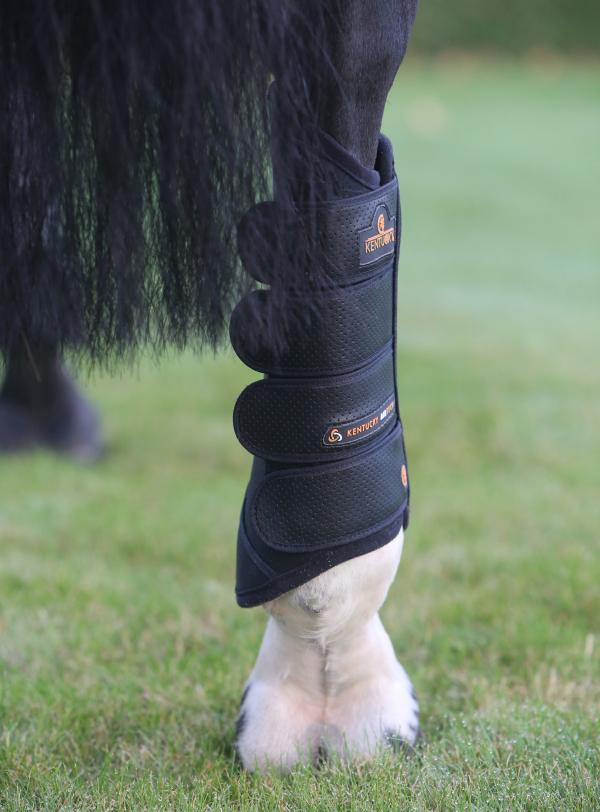 Kentucky Eventing boots