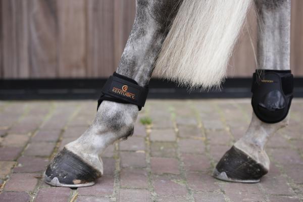 FEI approved young horse fetlock boots