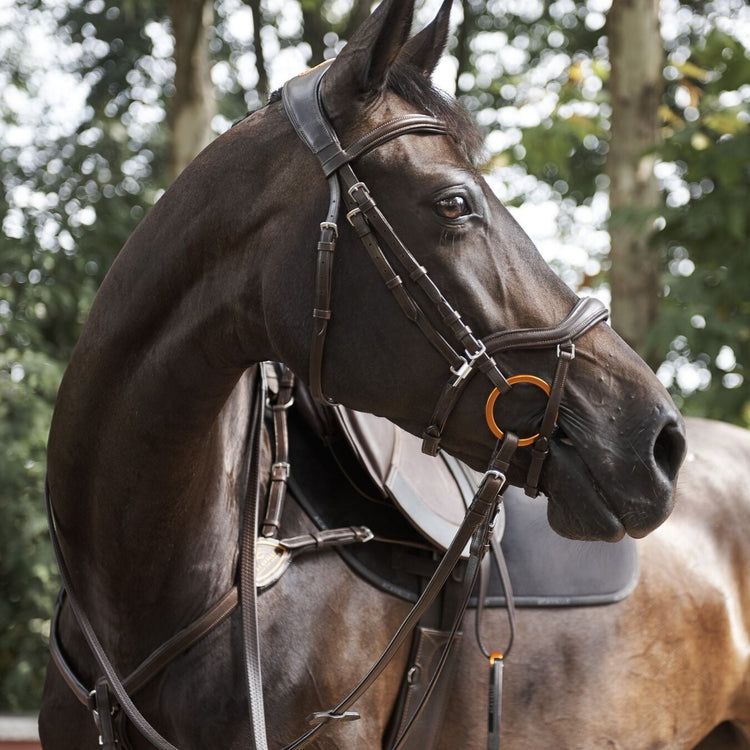 Anatomic Bridle with wide headpiece