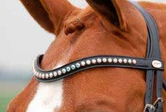Swarovski Browband