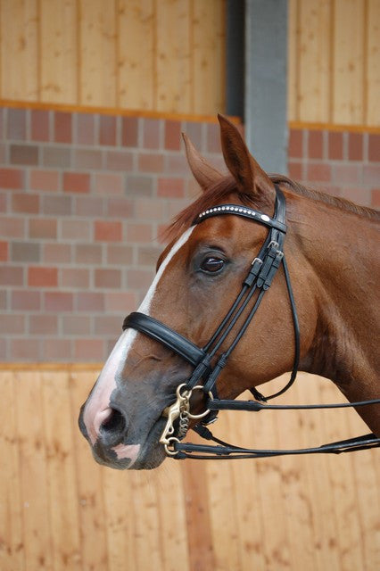 Rolled Leather Double Bridle