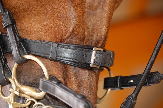 Rolled English Double Bridle