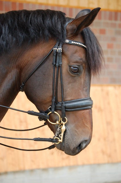 Rolled English Leather Double Bridle