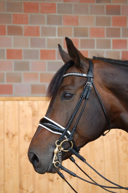 Patent Noseband Rolled double bridle