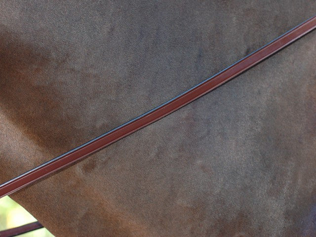 Brown Reins without stoppers