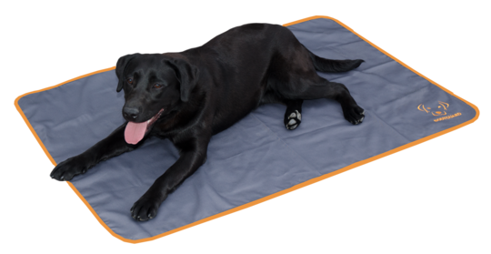 Holland Animal Care Dog Blanket