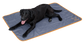 Holland Animal Care Dog Blanket