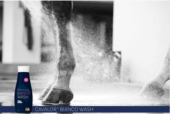 Bianco Wash Cavalor Horse Shampoo