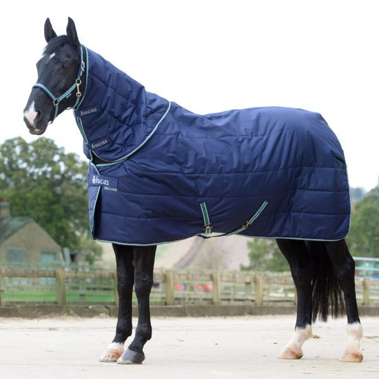 300g navy stable rug
