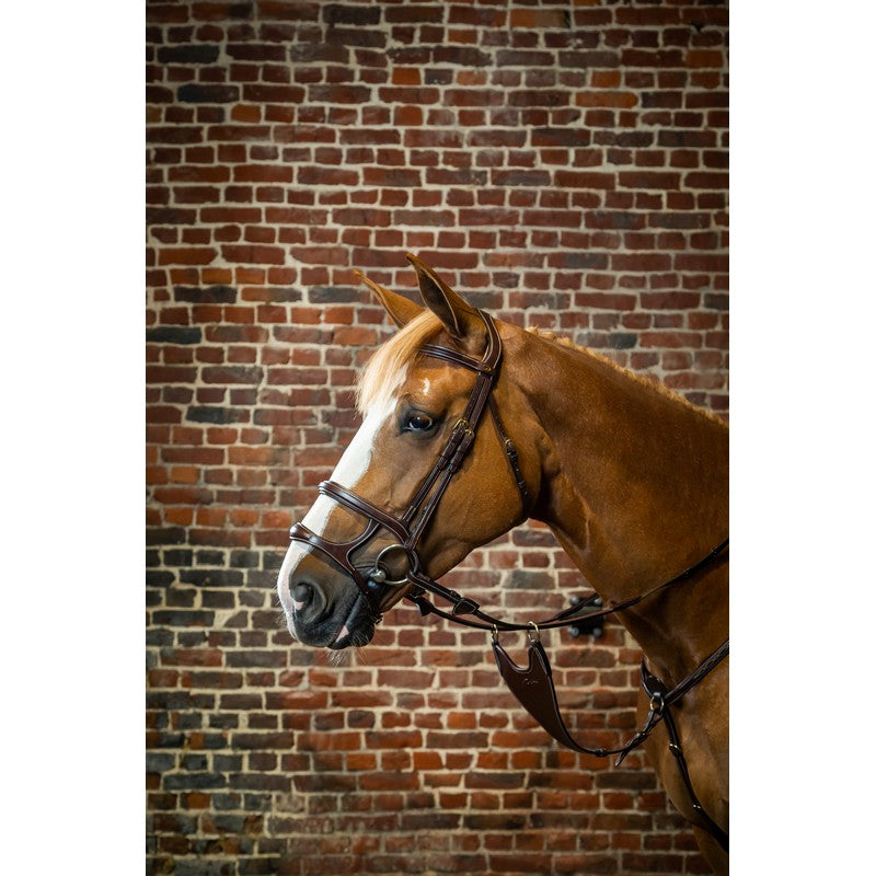 Bridle with double noseband for show jumping