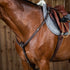 Dyon breastplate