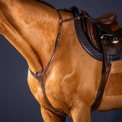 Breastplate with bridge