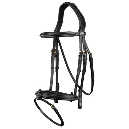 Anatomic jumping bridle
