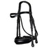 Dyon double bridle