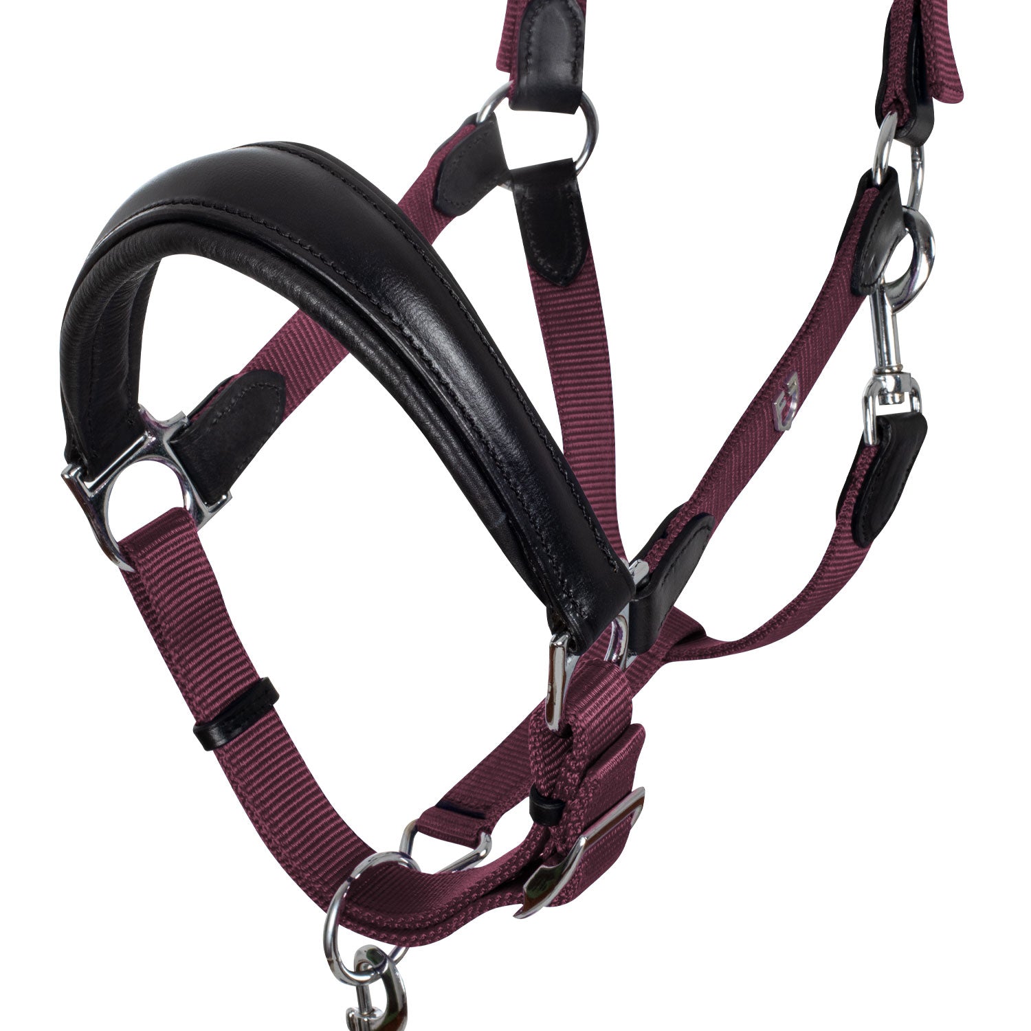 Leather halter with burgundy