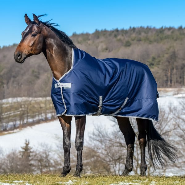 navy turnout rug with silver trim