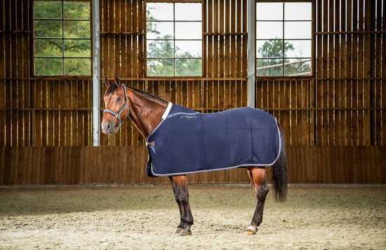 Wool rugs for horses