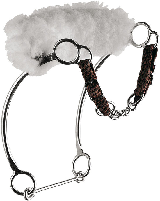 Kombi-Hackamore with Noseband