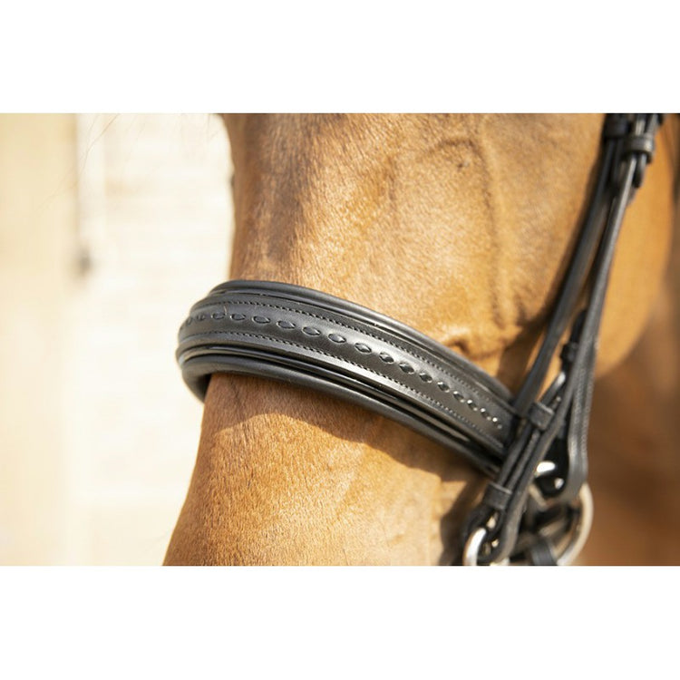 penelope-leather-double-bridle