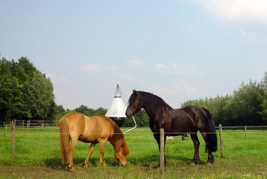 Ball Fly Trap for Horses