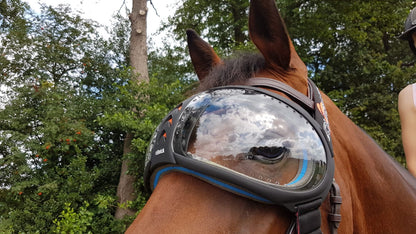 Horse Goggles